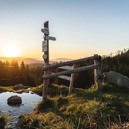 Waldhotel Fehrenbach Hotel Hinterzarten