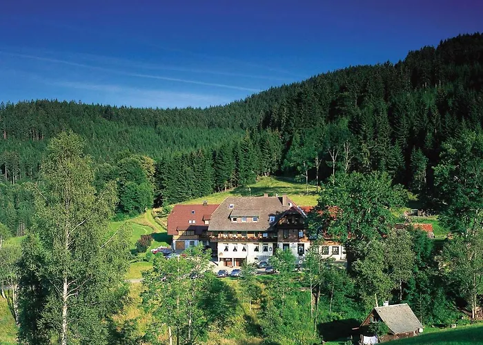 Waldhotel Fehrenbach Hotel 3*
