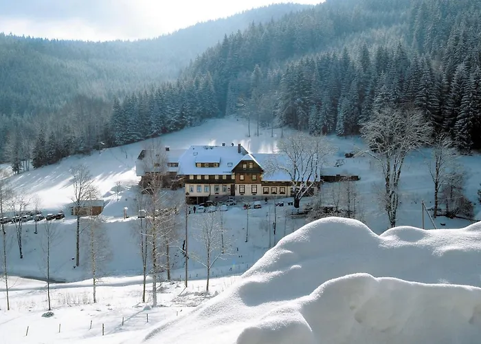 Waldhotel Fehrenbach Hinterzarten