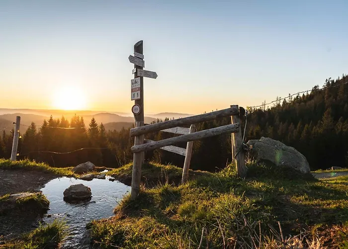 Waldhotel Fehrenbach Hotel Hinterzarten