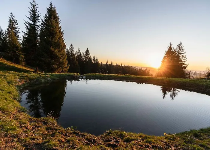 Hotel Waldhotel Fehrenbach Hinterzarten