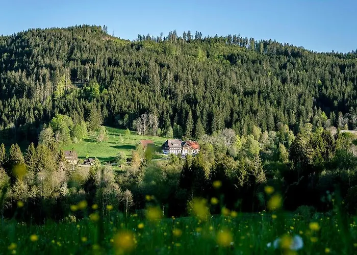 Waldhotel Fehrenbach Hotel